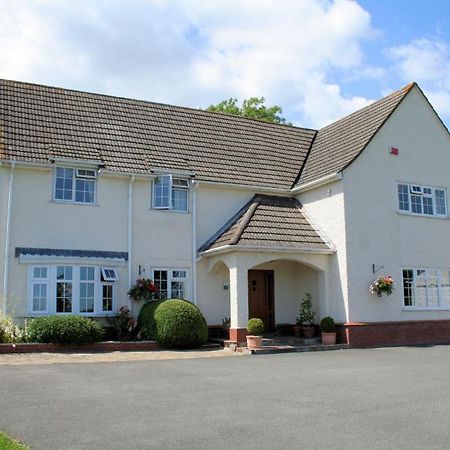 Hazel Court Guest House Newport (Gwent) Ngoại thất bức ảnh